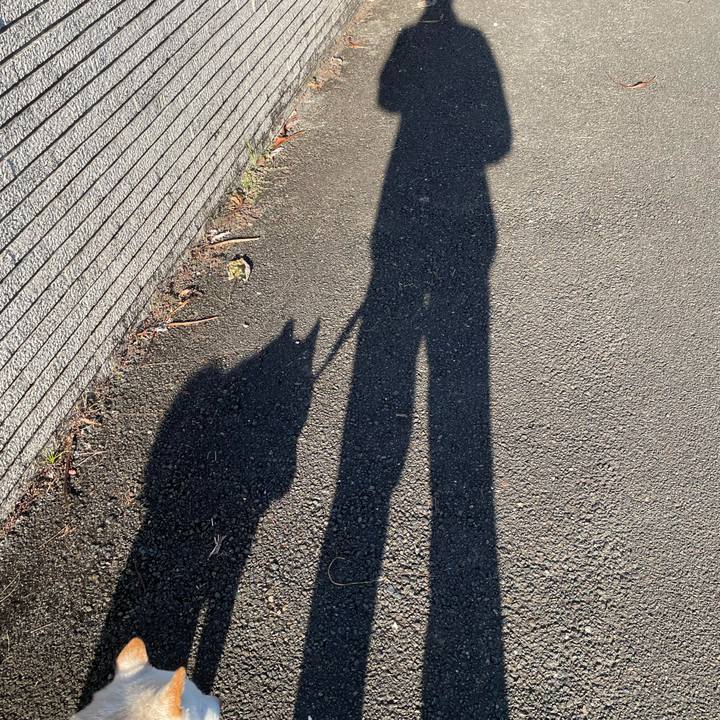 301bb343 d0c0 4bdb a07a c16ce7f19a1f 1635245207964