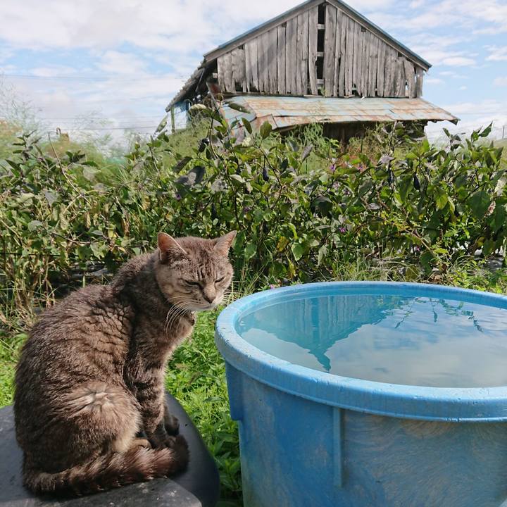 301bb851 4029 469a b28a 639336a5534f 1601927414696