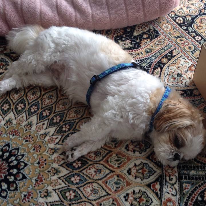 301be027 9e4a 42f6 a072 e27ade030d48 1508276398234