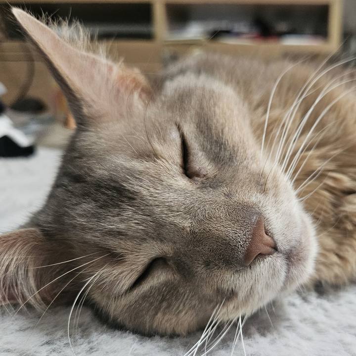 301bfb42 3749 48cf 8c48 25d61338043e 1736842976418