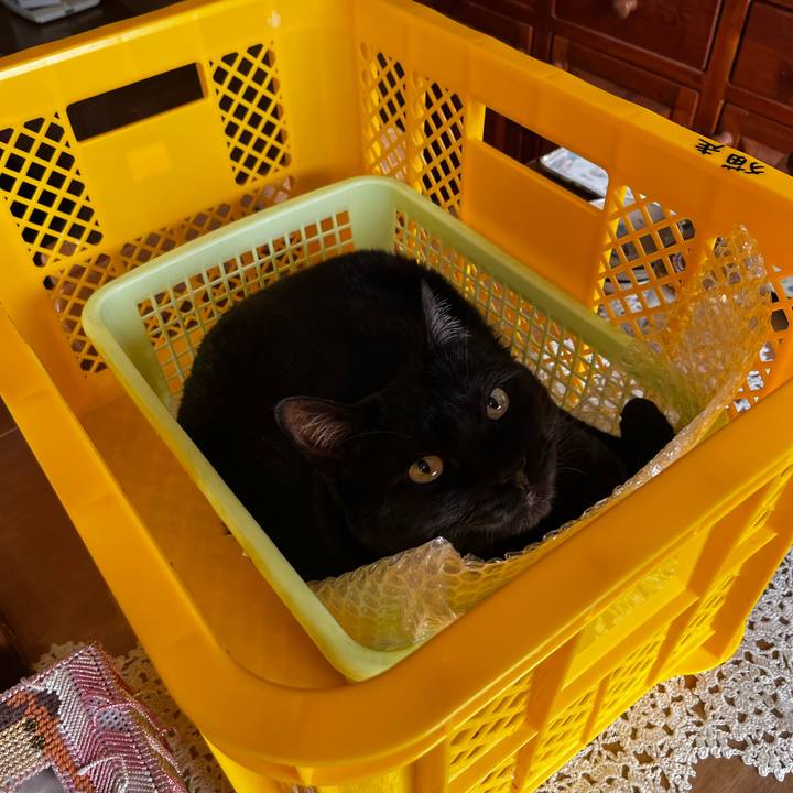 301c1d9a fa55 412e b7c7 87a638719276 1713412334637