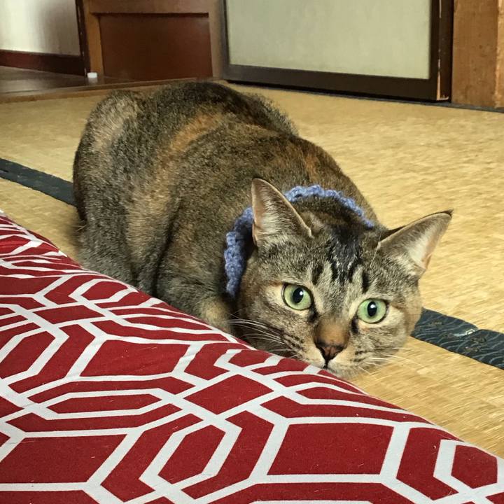 301c3100 f592 4ed6 9c2b 07c769e6b846 1616989179061