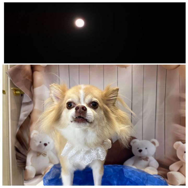 301c41d2 cc9d 44a2 8bd0 66cb83e88b0c 1762403599588