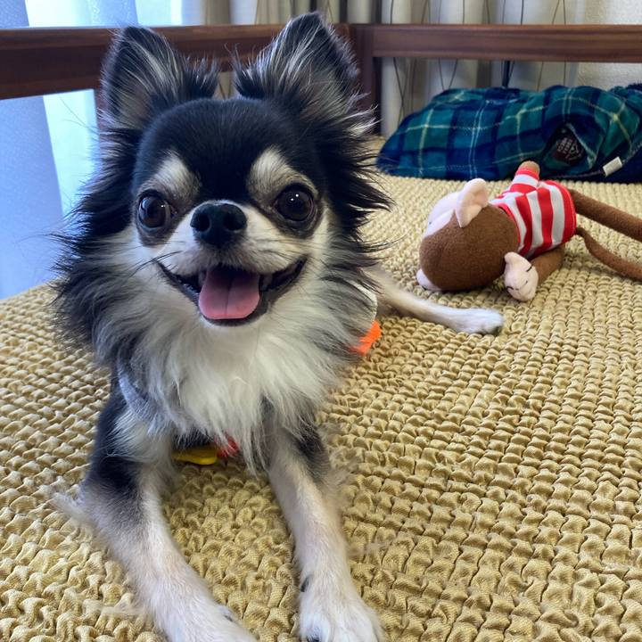 301c76db 34eb 4951 9f39 3c5c16971788 1655610453199