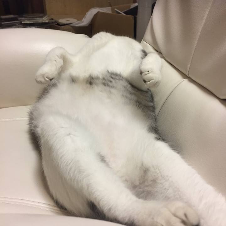 301cd7f6 1fe8 4ba9 91bc e0af810bc0d5 1535549481546