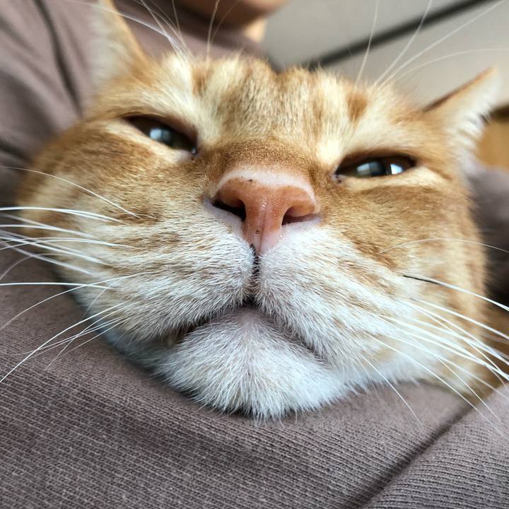 301cfcc5 9836 473d bc80 5504a6317e3e 1609546527890