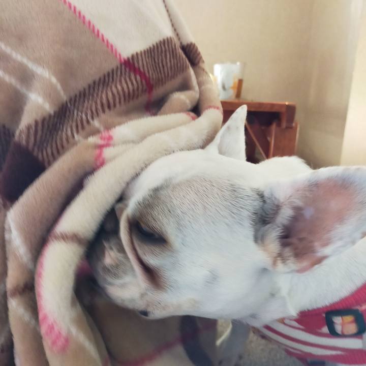 301cfd7a e937 4747 8c5e d2d9aae4ccc7 1636931517087