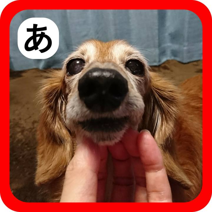 301d2f5c ee0f 449a 9c95 41b62ae983c4 1514796854392