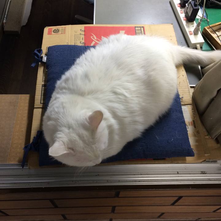 301d3239 10e1 42a3 a32d 9d87eea5bbbe 1510180021811