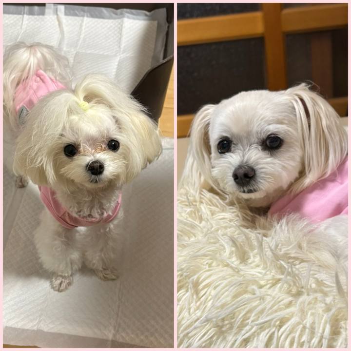 301d3504 4d02 4123 b679 4330ad8dc611 1760440518725