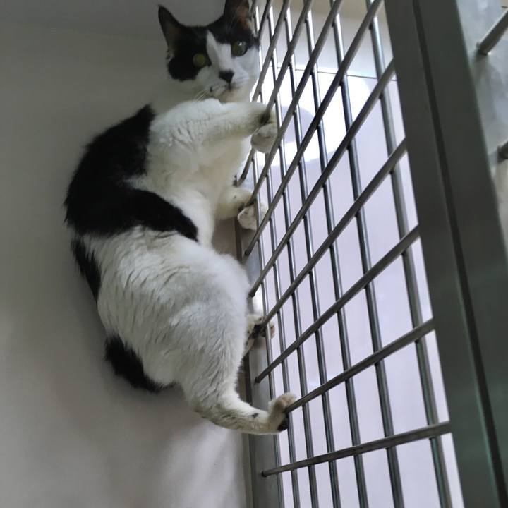 301d5bd1 e3bf 4a03 9362 5cc849fdf151 1528495600368