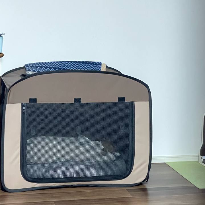 301d5e97 d8d5 4c7c 8a82 95e04b431b97 1717412543351