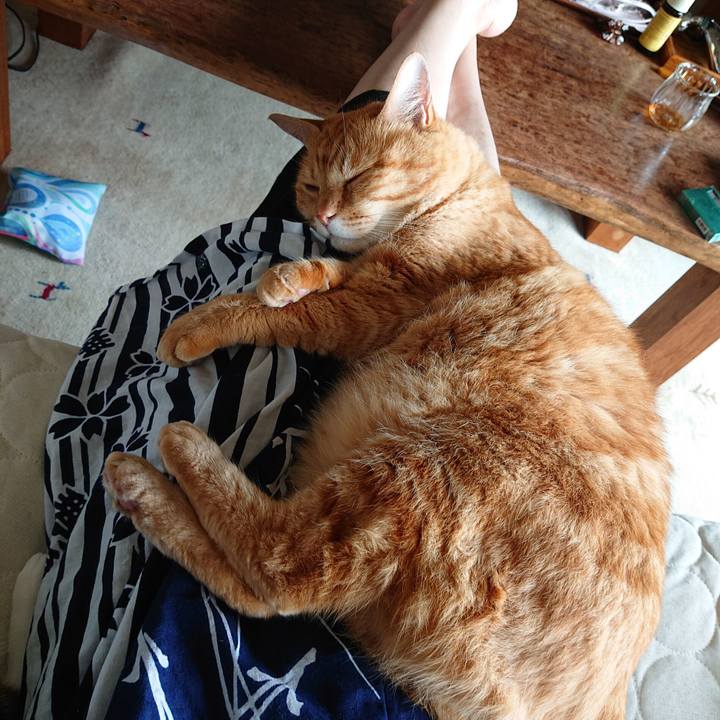 301d5f54 1750 4279 ac67 fd7a09461e89 1593921569552