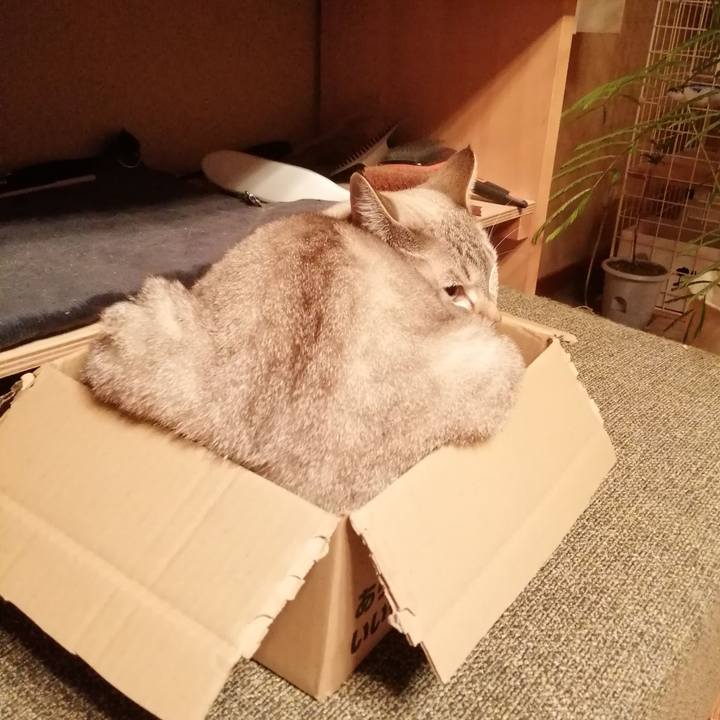 301d91d3 aa9b 48b1 80ae 62d04787895b 1788830391322