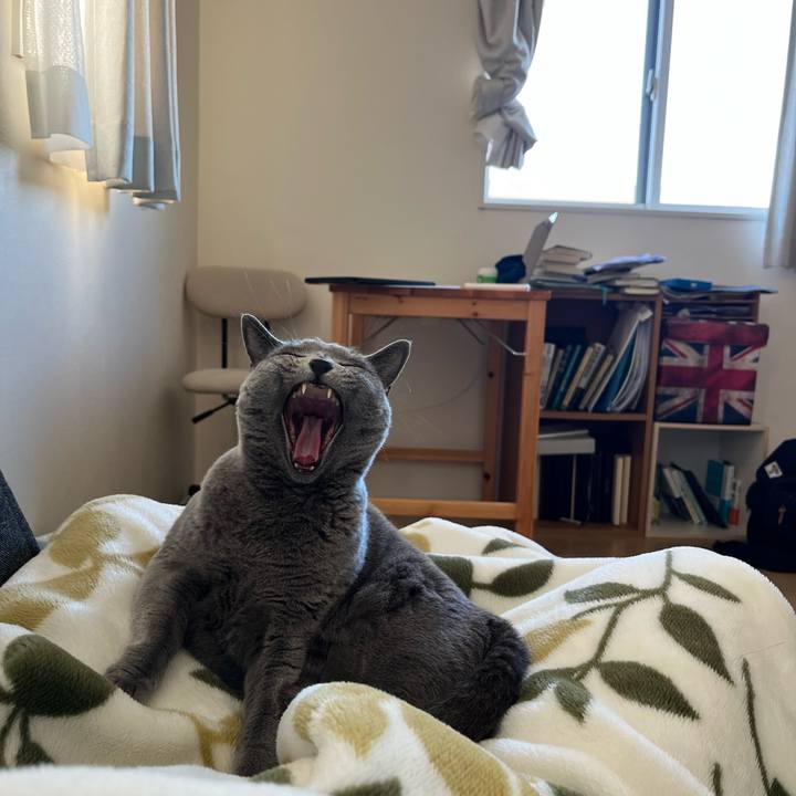 301dbb20 f929 4698 8d5b 3d2256f843b5 1763790627527