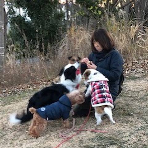 301dbd19 340a 4e1c b4f1 54ec02f335b9 1547160519622