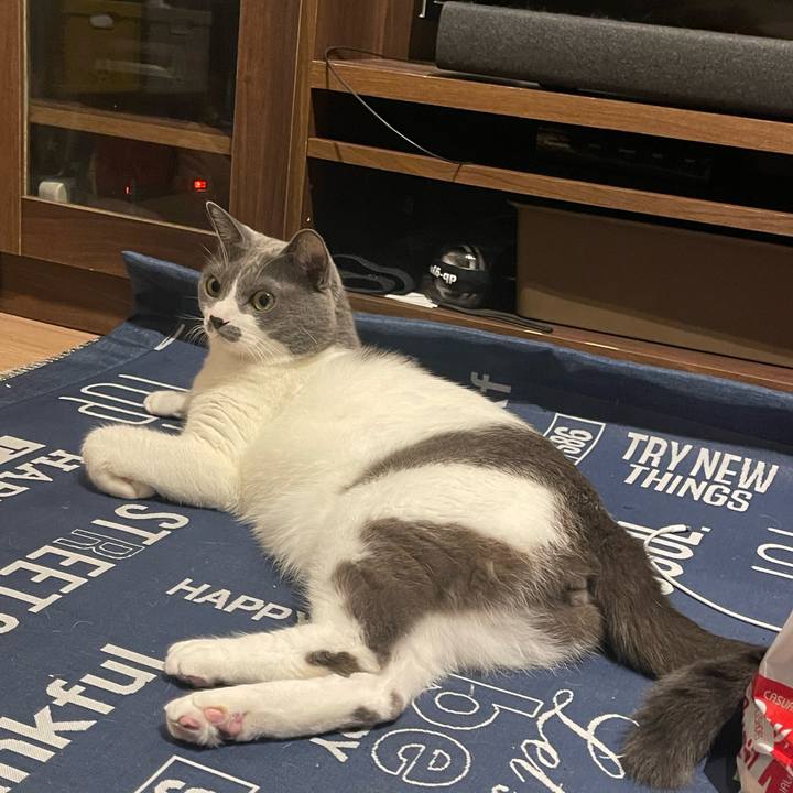 301dc039 4883 4f41 bcab c22921999fc9 1697531126309