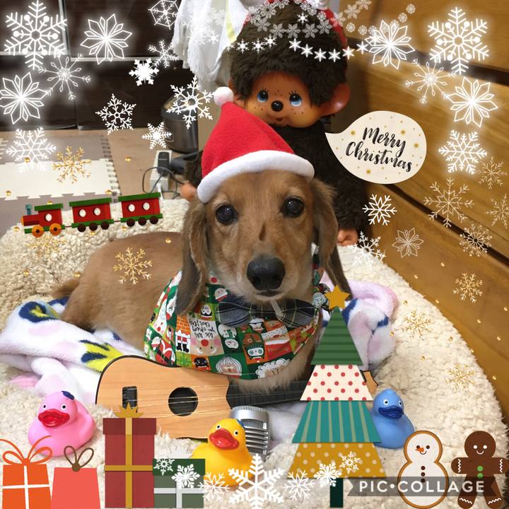 301ded5b b003 46a1 a7ea d5a19167da4a 1577017036450