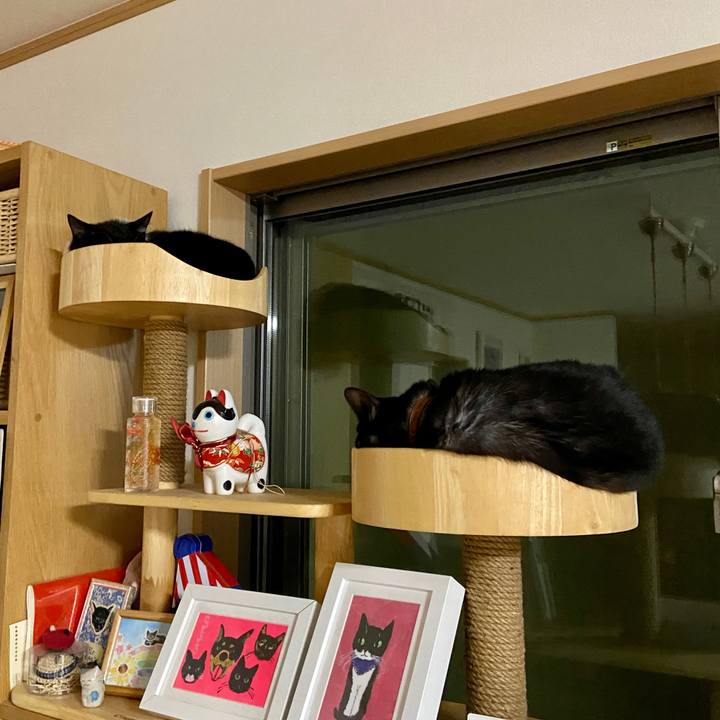 301e5471 c55f 4bd5 847d 7b901406f814 1624027615284