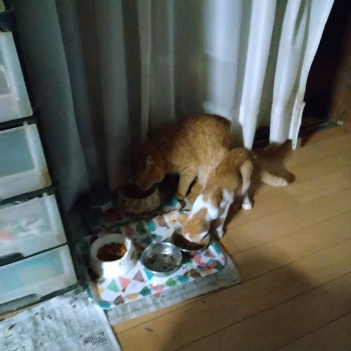 301e7684 ffdf 4745 9e15 31a5b065fbc7 1726783605020