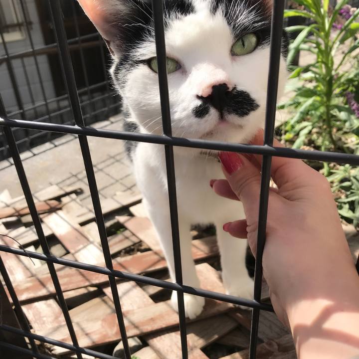 301e768f bc8f 40c3 a64c 701379fc850b 1549776716365