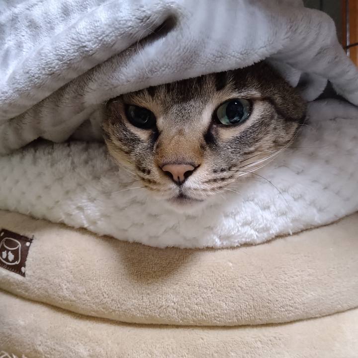 301e7d4f 774e 49a4 94a9 fed76951e269 1638701418469