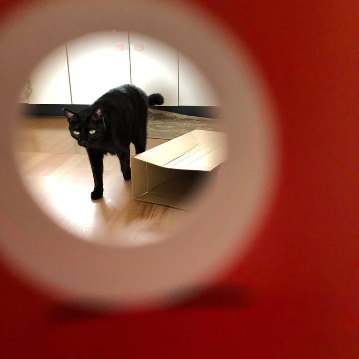 301e7f68 41cd 4a7d 9271 21bb98740cf3 1549173097231