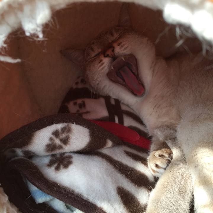 301e85dd 69c7 4778 9a46 a7b61ee03f8d 1519112250638