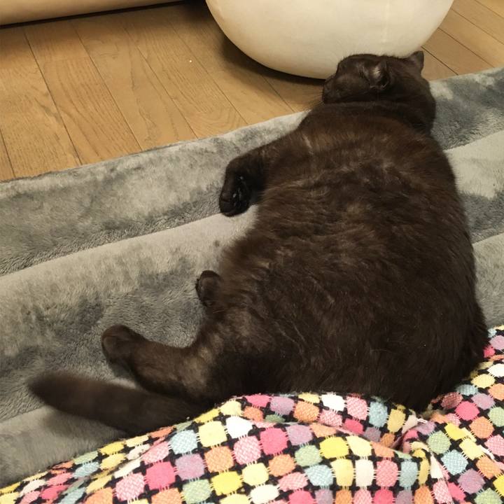 301e8d08 f369 40c9 897a 92c9b37d9222 1549283884966