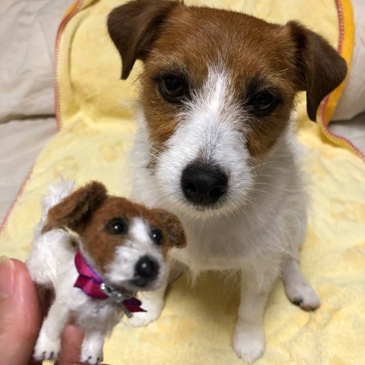 301ea43e a2d6 468a b912 2c1f99122cad 1525005118590