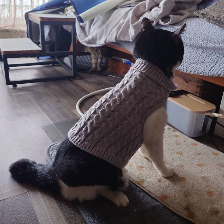 301ea761 eb0a 494a ba1e 86712c93d2eb 1761008803267