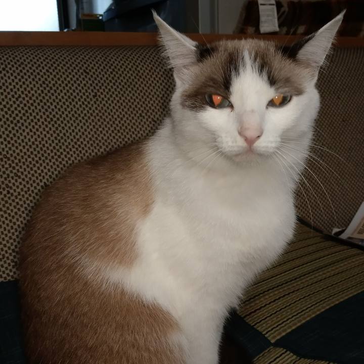 301ebd07 364e 42fe bff1 488c54369800 1549074489848