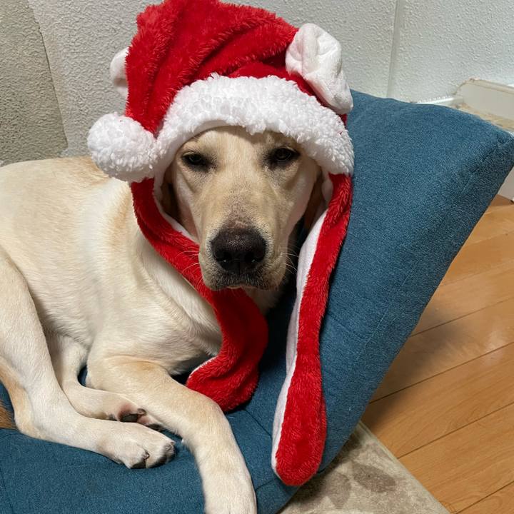 301ebd40 39f2 45e0 a353 c44838f6e290 1640354505863