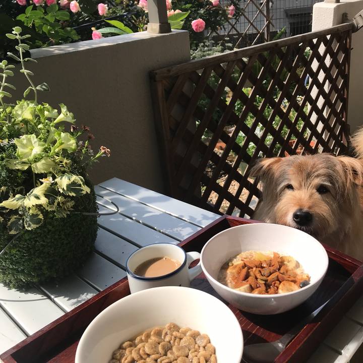 301ee22c a03e 4854 9665 6a0d293468f0 1652835567358