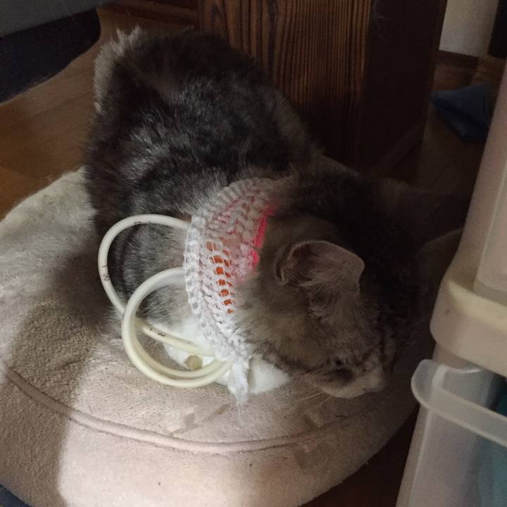 301ef469 bd00 4329 9e98 14c2dd9a3ccd 1567950369551