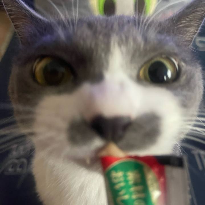 301f066b b9f7 4a72 8b15 d1cd8ad4151f 1727591027361