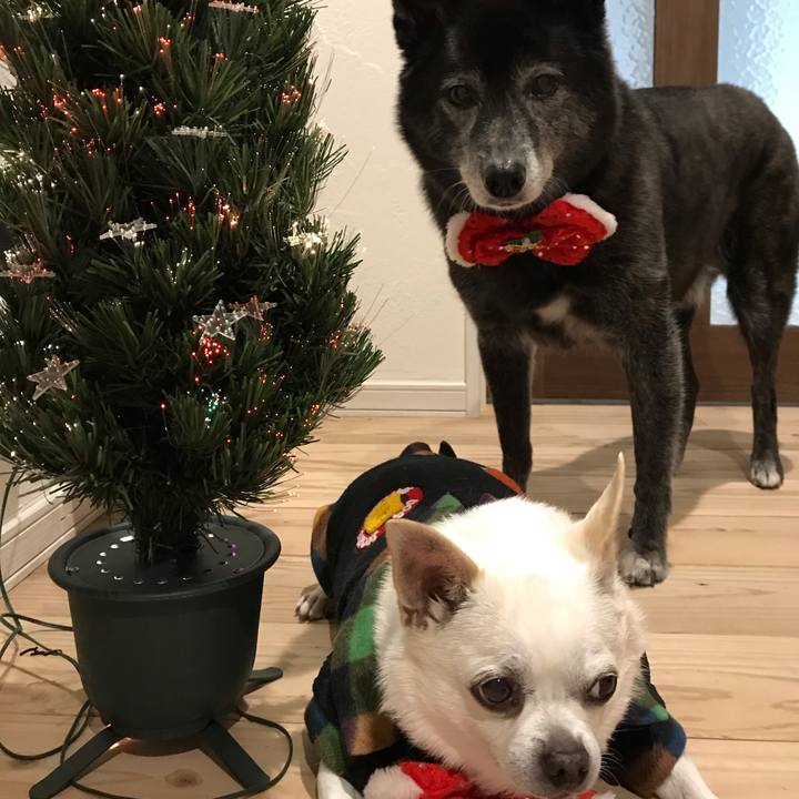 301f07c6 10e5 4e90 97b0 d75b102d91ff 1608890818831