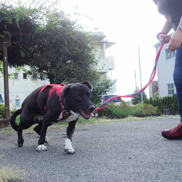 301f10b4 55c7 4e3e 8cbc 201b1e29e551 1599091247829