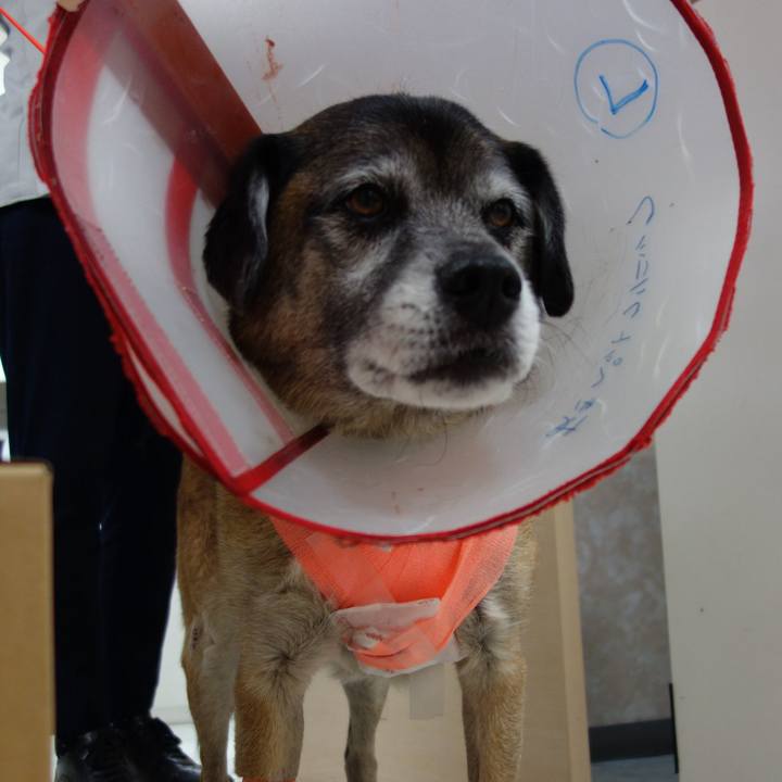 301f156d f078 4d0a 898f d4426a8c1797 1626827001239