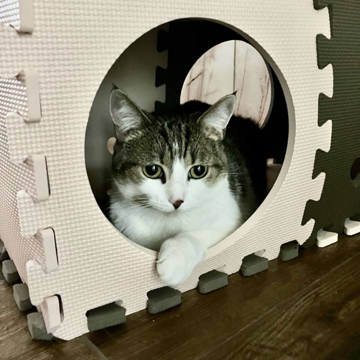 301f71b0 162e 48f6 899c 139f0946c74e 1695305990123