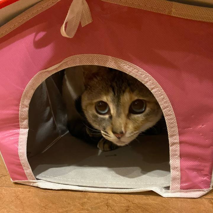 301f8271 9893 428a af2a 466ee0f1abdc 1709890841940