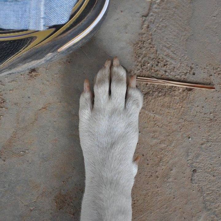 301f86f0 5bd6 4e39 8bc5 bd548572b957 1547549801541