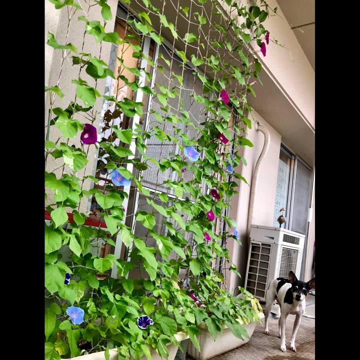 301fa723 5e37 4cf6 90c4 2ae0edee0a22 1562022545634