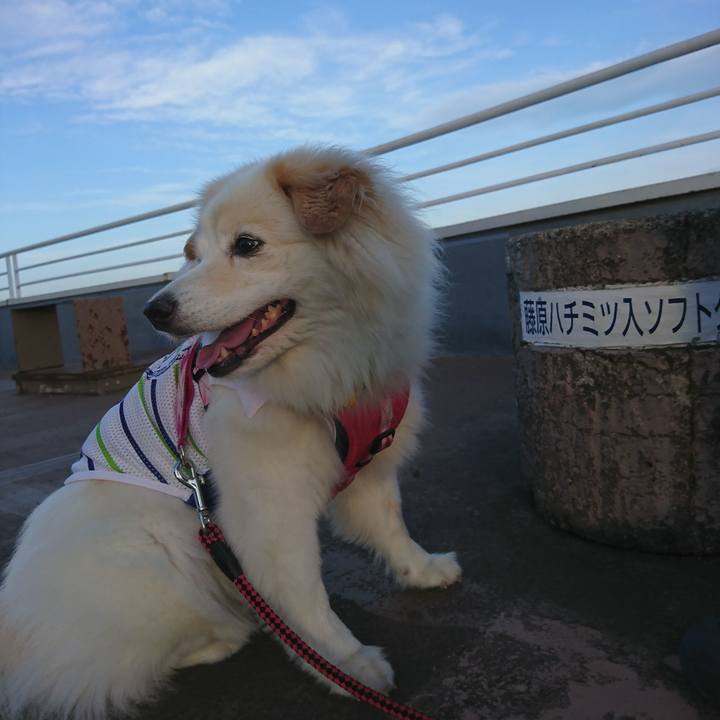 301fd7ea 0176 4478 bc04 9ab396424afb 1530475487024