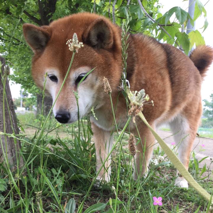 301fd86b 2426 472b 99c3 8e43cf3f4b8f 1622622834044