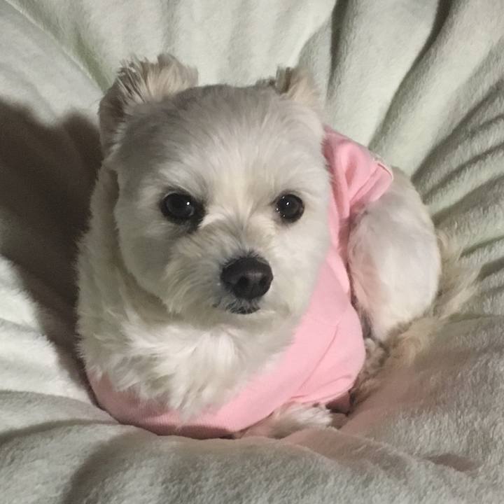 302020bf 2a45 4c36 901f 8a64ec2203dc 1549881767728