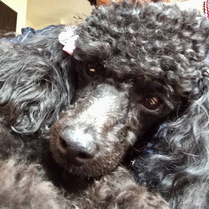 3020604d 68dc 46ac a24b aff43789bb32 1532578497797