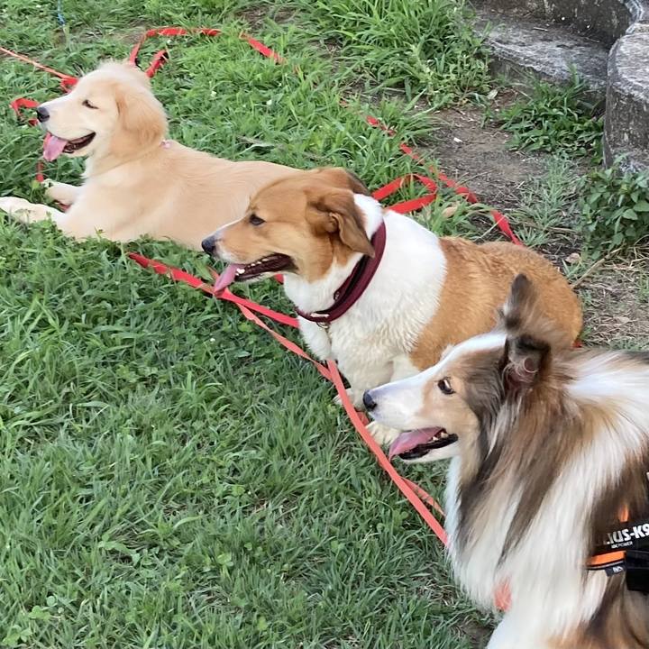 302065e5 2c2d 4ac9 92db 3e68fba7fd00 1692753178732