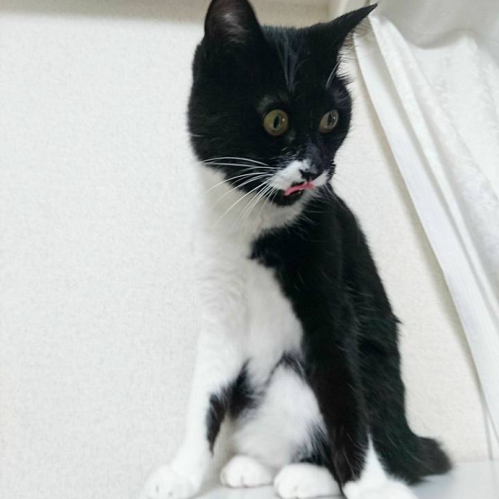 30206889 d40b 4ac0 8fd6 3e4805797f32 1528687237070