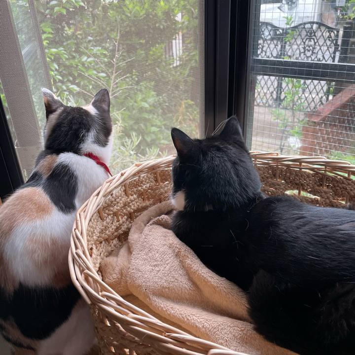 3020a02a 5f55 45b5 a9bf f2c599e23740 1716760458497